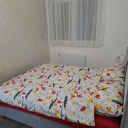 Apartmani Pocuca Banja Koviljaca Exterior photo