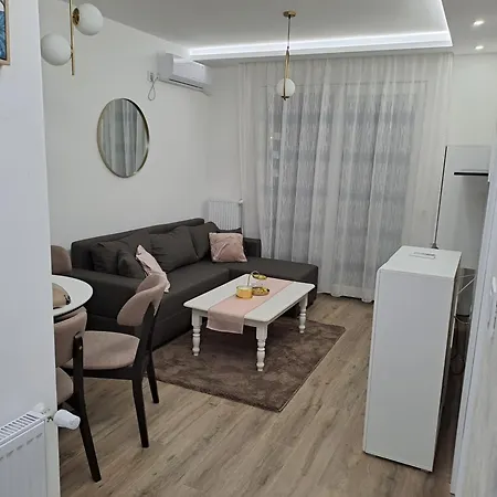 Apartmani Pocuca Banja Koviljaca Exterior photo